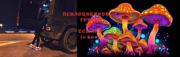 ешки Арсеньев